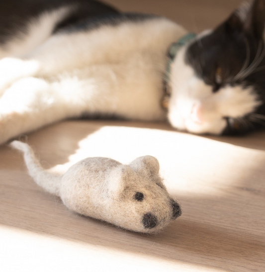 Sip & Craft: Needle Felting with Jenny Santa Maria