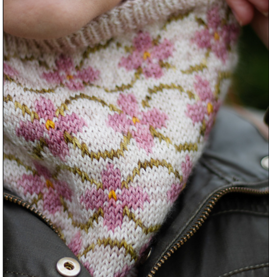 Colorwork Orwell's Garden Cowl Class