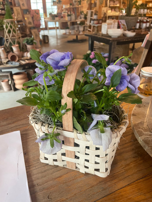 Handwoven Basket Workshop